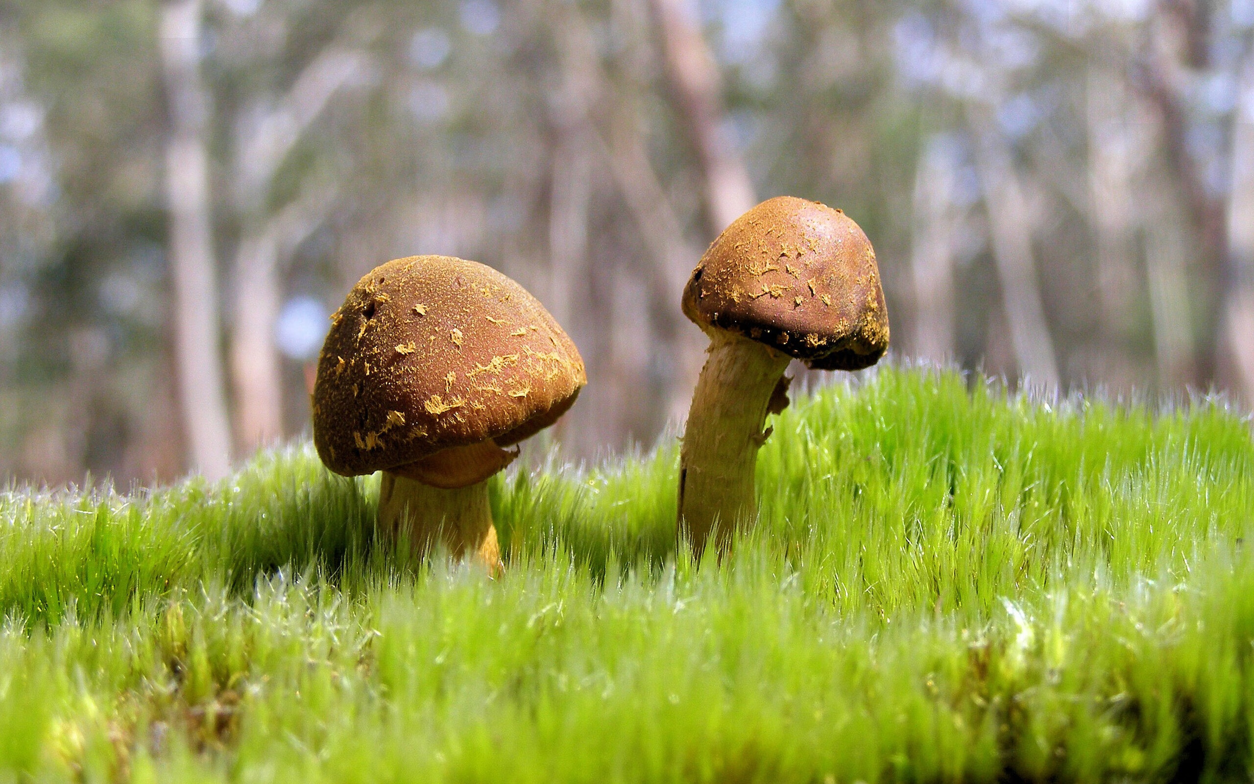 Kaiyun(中国)开云-_未来智能跑鞋：科技助力每一步_，未来科技鞋子好不好