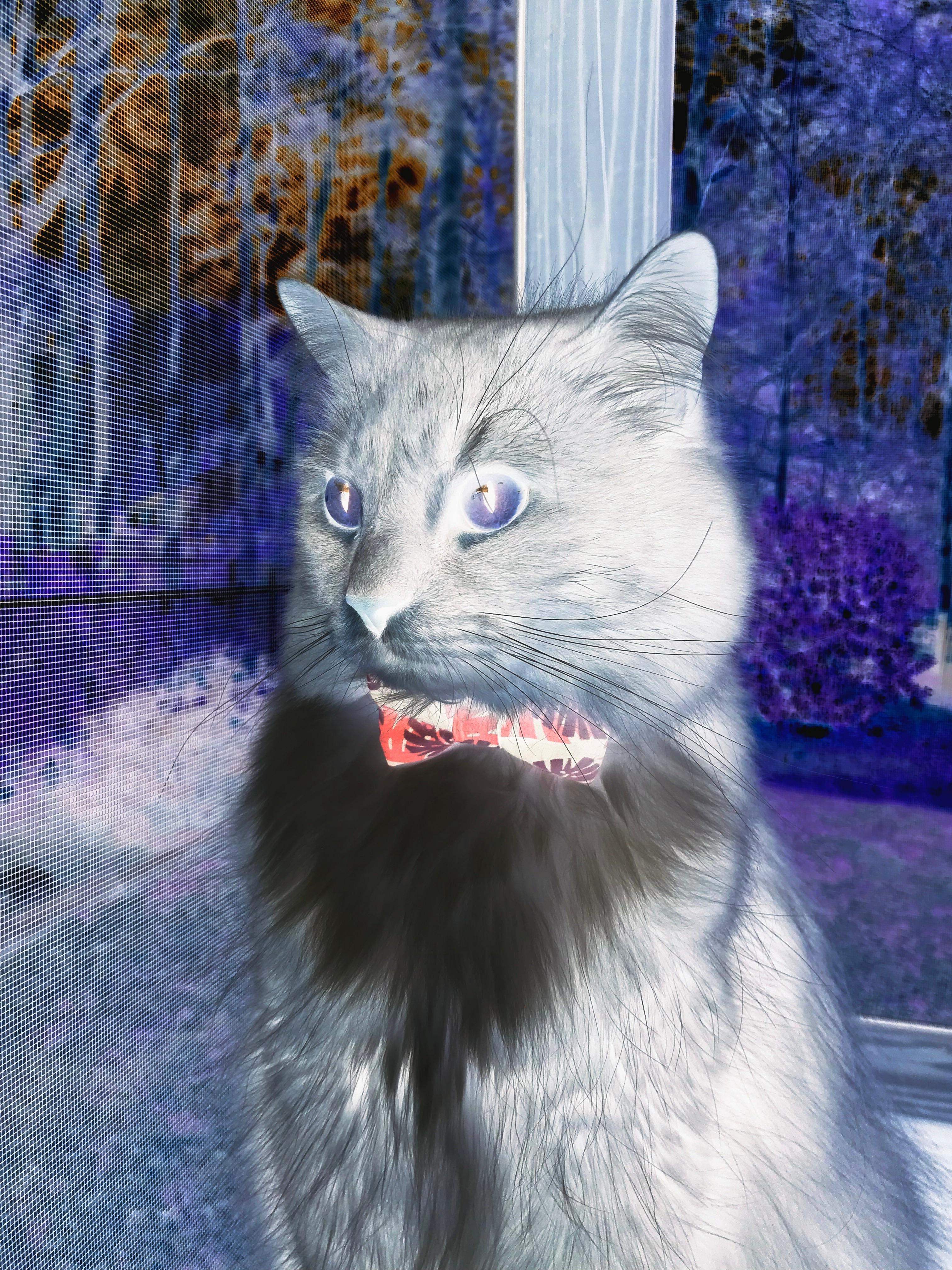 开云官方-_访谈：网球明星的职业生涯与未来规划_，网球 明星