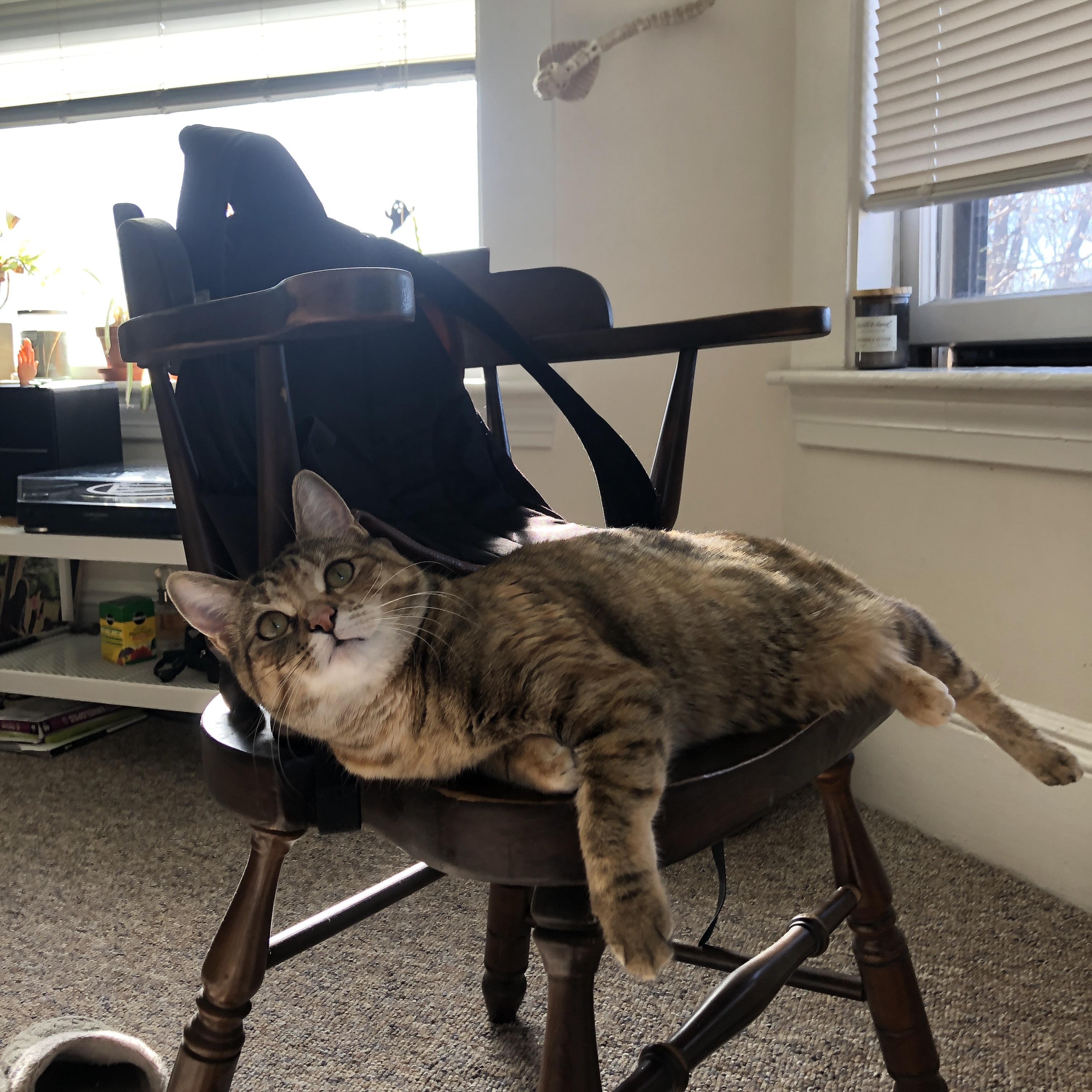 kaiyun登录入口-_自行车文化节：骑行中发现城市的另一面_，骑行发现城市之美