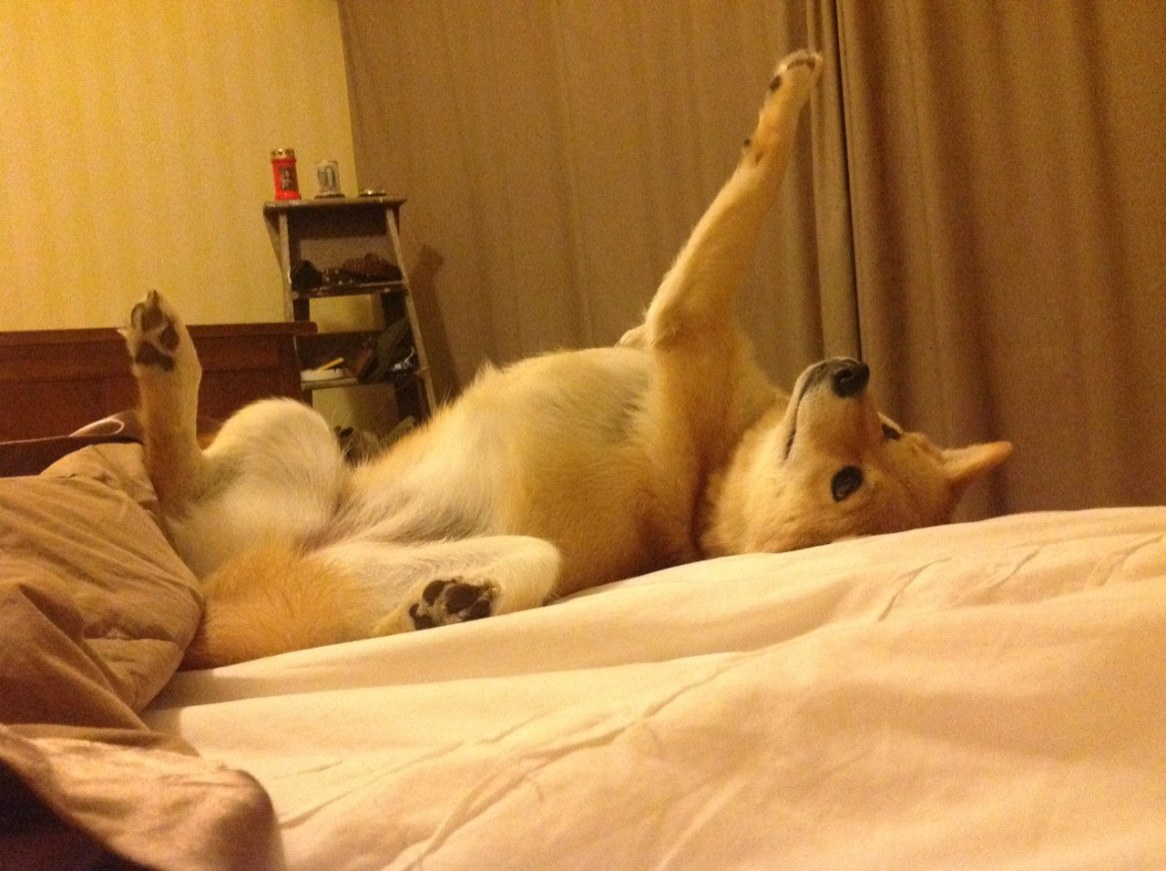 开云-_魔术队全队奋战，迎来季后赛希望_，魔术队2020