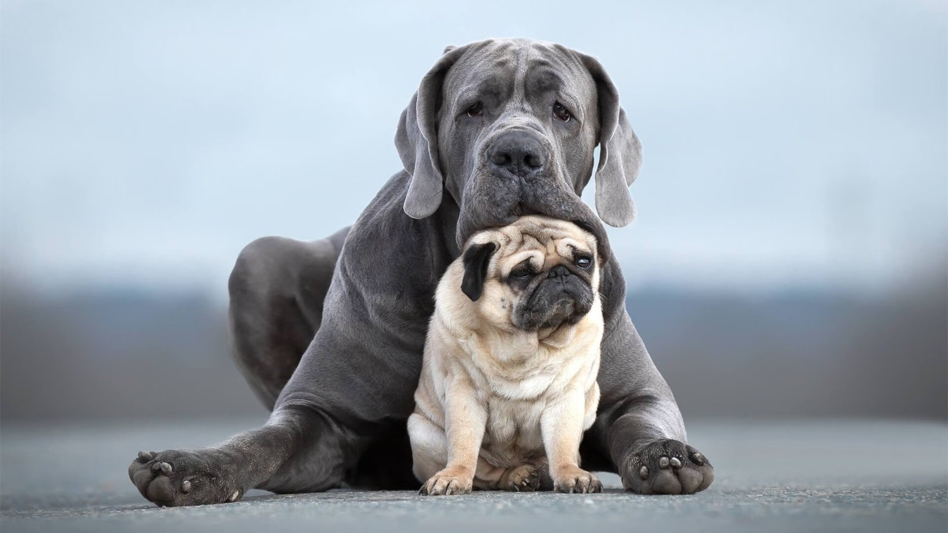 开云入口-“最佳突破：那些让人惊叹的单勇穿越线路”