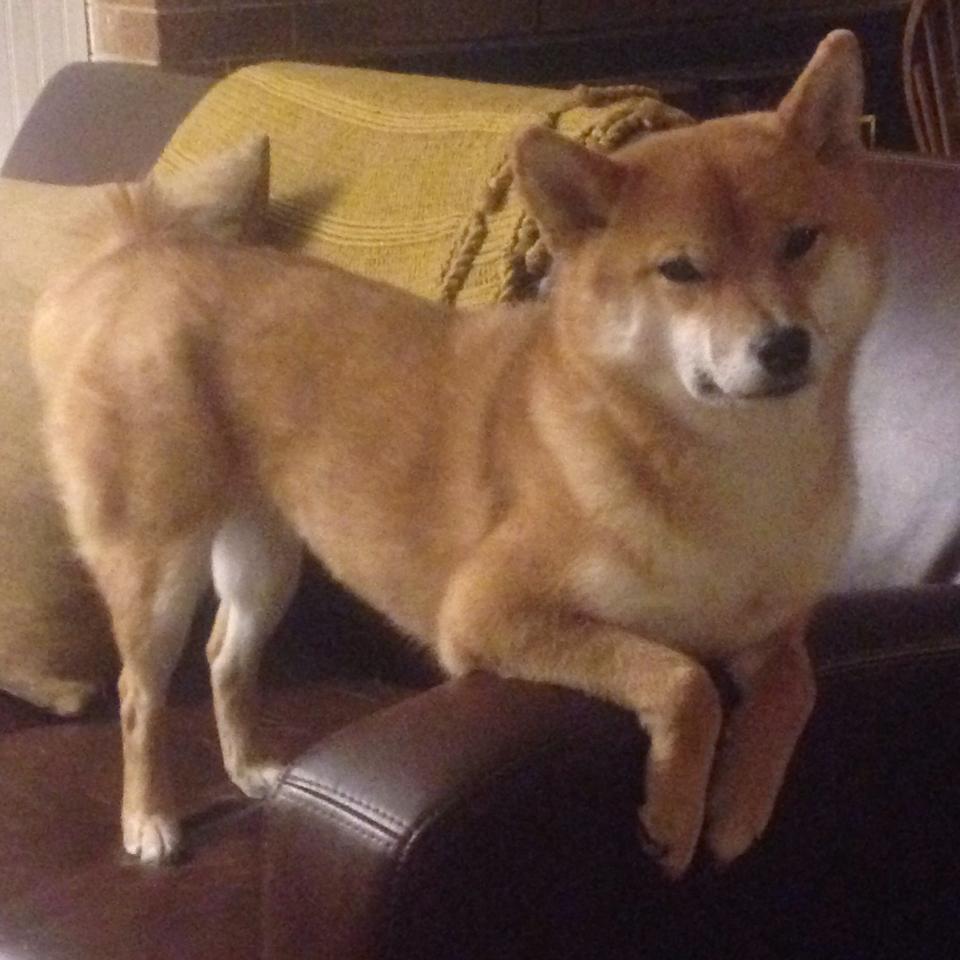 开云入口-“西甲劲旅捍卫荣誉，战况激烈升级”，意甲老牌劲旅