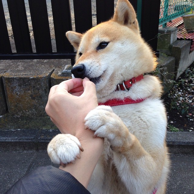 kaiyun开云·官方网站-“青少年足球公众培训频繁举行，提高基础技战术水平”，青少年足球培训招生渠道