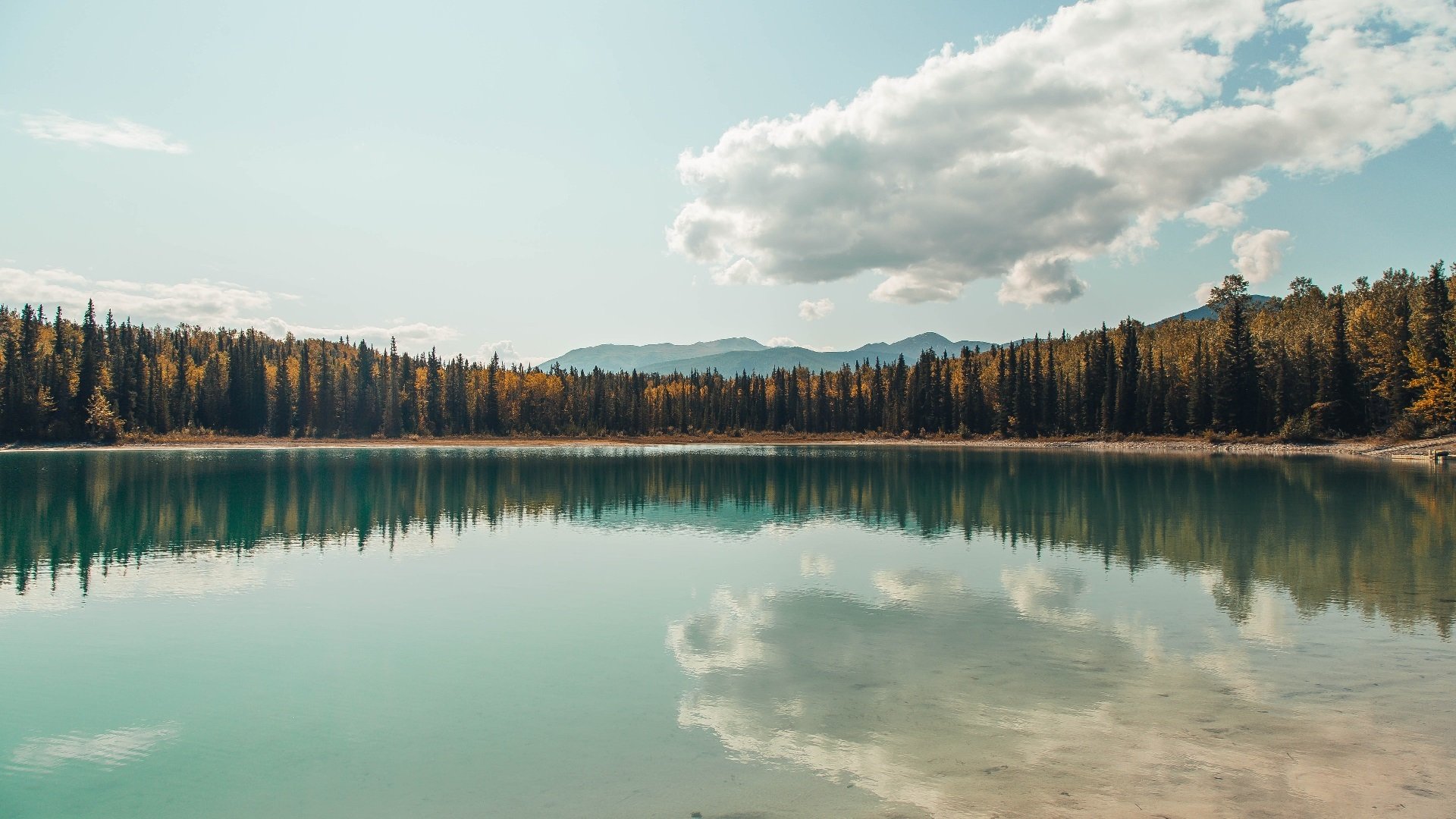 开云官方网站-《明星电子竞技解说：带你领略每场激战的精彩！》，明星x电竞选手