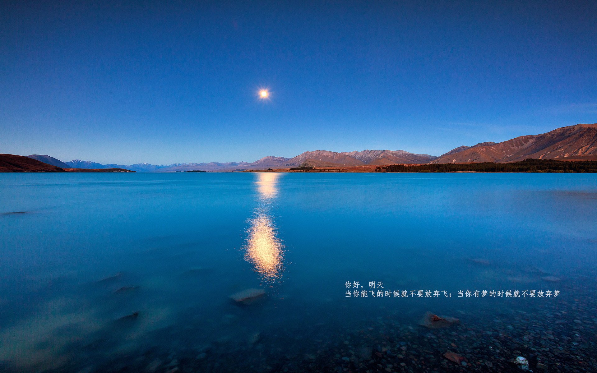 开云网页版-【冠军之路】运动员：从训练营到世界舞台的成长足迹，运动冠军2