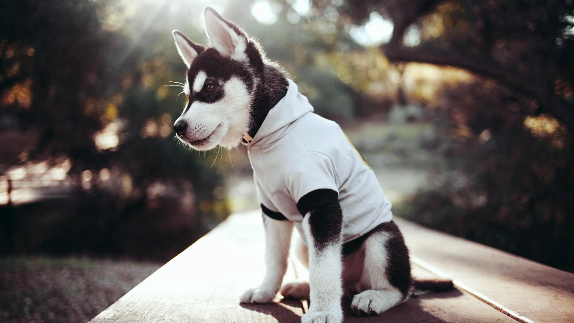 【比赛盘点】丁俊晖在高手对决中的关键攻防瞬间，丁俊晖vs