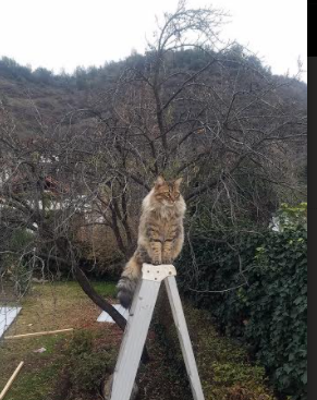 开云官方-游戏影响现实时尚潮流趋势，游戏对未来的影响