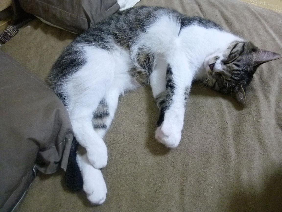 kaiyun开云·官方网站-长春亚泰客场大胜，球队士气高涨，2021长春亚泰球员最新消息