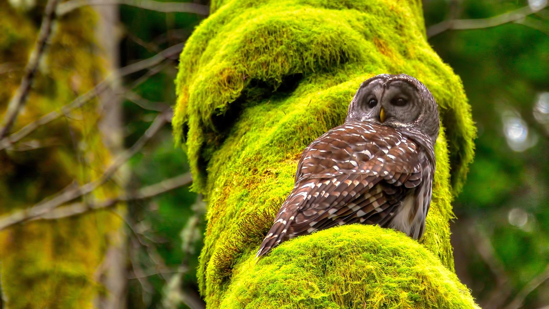 kaiyun.com-切尔西前场配合提升破门效率，切尔西前场配合提升破门效率的球员