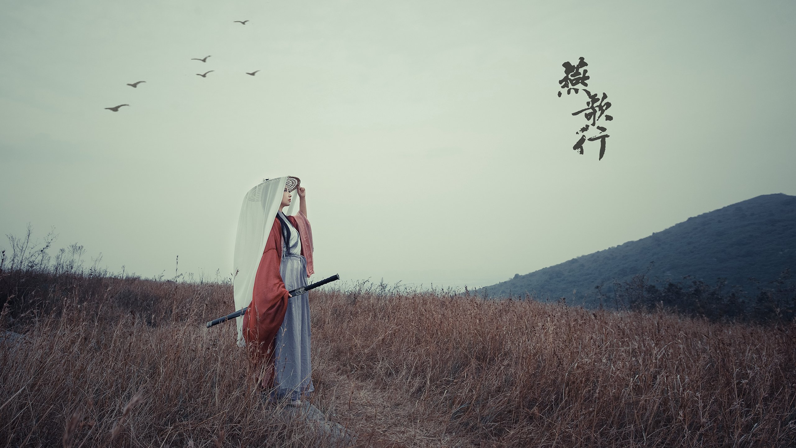 开云体育在线赛事直播-欧洲杯冠军争夺战：战术与个人技艺的巅峰对决，欧洲杯冠军争夺赛