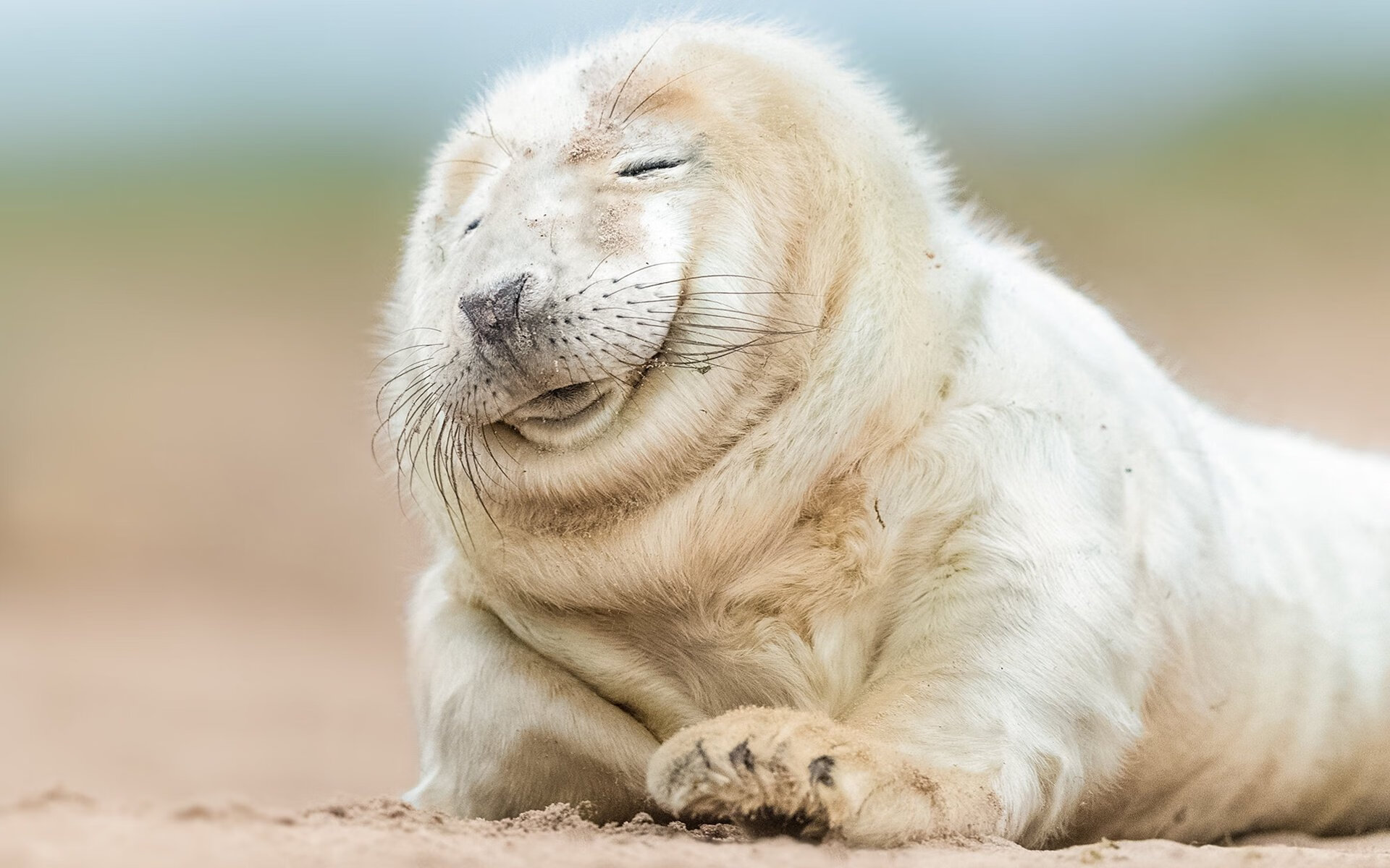 开云网页版-王楚钦带队进行封闭训练冲刺冠军，2021王楚钦