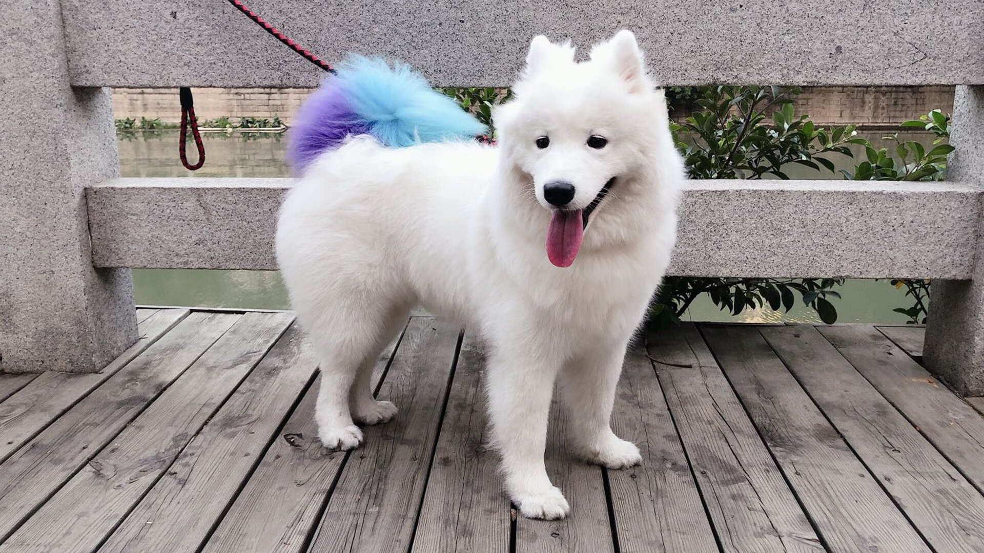 开云官方网站-田径训练日志系统化管理提升效率，田径训练计划表格